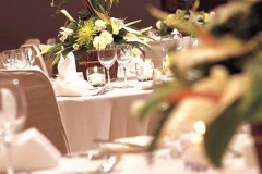 CN_ballroom1_750x350_FitToBoxSmallDimension_LowerCenter